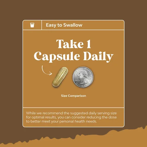 Vista 7 de Suplemento avanzado de hongo melena de león – Cápsulas de suplemento de melena de león con Reishi Chaga Maitake y Shiitake para la salud cerebral