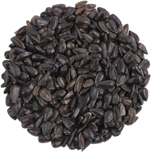Vista 5 de CountryMax Backyard Seeds - Semillas de girasol de aceite negro para aves silvestres, bolsa de 25 libras, alimento de alta energía para cardenales