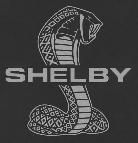 Vista 2 de JH DESIGN GROUP Shelby Cobra - Camisa de manga larga con cuello redondo y color carbón para hombre