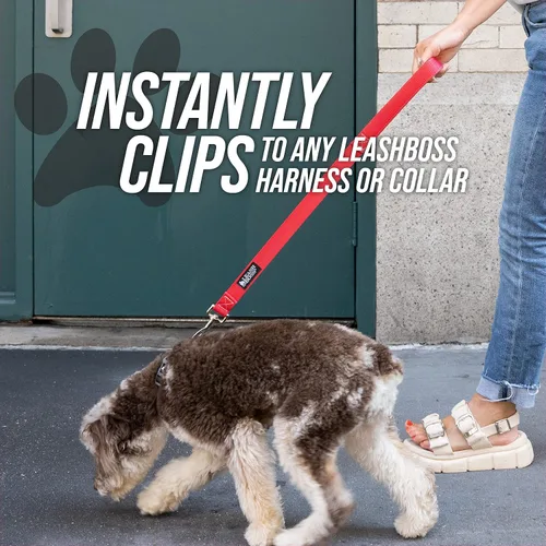 Vista 9 de Correa corta para perros con mango de tráfico para perros grandes. Ideal para acopladores de perro doble, perros de servicio y entrenamiento, 12