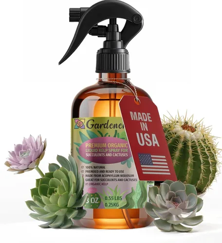 Vista 23 de GARDENERA Spray orgánico profesional de algas marinas para plantas AGLAONEMA – 8 oz – Rocío fertilizante de algas marinas y algas marinas totalmente