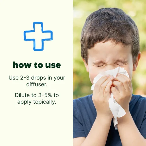 Vista 2 de KidSafe mezcla de aceites esenciales sin diluir para tratar el resfrío, de grado terapéutico