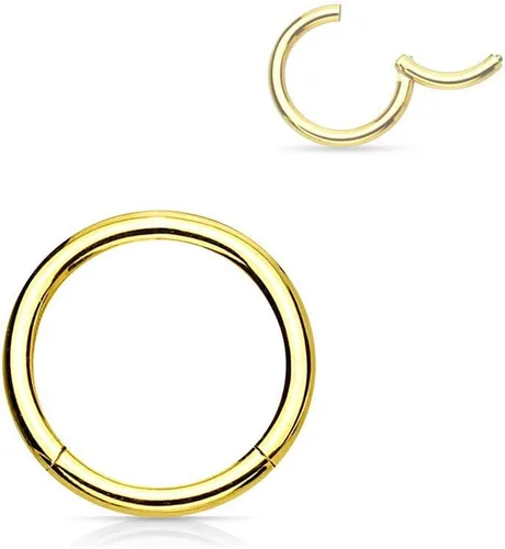 Vista 61 de Forbidden Body Jewelry - Piercing para la nariz de acero quirúrgico 316L con bisagra, 14G, 16G, 18G, diámetro de 15/64, 5/16, 25/64, 15/32 pulgadas