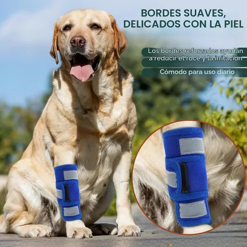 Vista 3 de Kuoser Soporte de pierna delantera para perro y protector de codo, codo ajustable para perro con tira reflectante, manga de compresión para piernas