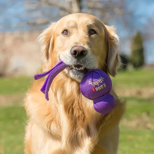 Vista 2 de KONG Wubba - Juguete grande para perros, varios