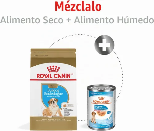 Vista 6 de ROYAL CANIN NUTRICIÓN SANA PARA RAZA bulldog cachorro, alimento seco para perro