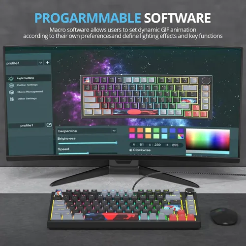 Vista 6 de Junta de teclado 75 % montada con almohadillas absorbentes de sonido, teclado mecánico RGB compacto de 82 teclas con cable para juegos, enchufe