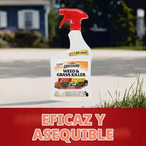 Vista 12 de Spectracide Weed & Grass Killer 2, Uso en Calzadas, Caminos y Alrededor de Árboles y Jardineras de Flores, Aerosol de 32 onzas líquidas