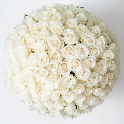 Vista 19 de GlobalRose Ramo de 50 rosas surtidas, rosas de origen responsable, flores frescas, ramo fresco de flores seleccionadas a mano para el día