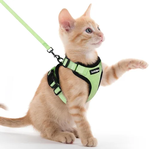 Vista 86 de rabbitgoo Cat Harness and Leash Set, Escape Proof Vest, XXS, Berry Pounce Soft Breathable Mesh, No-choke Adjustable Fit, Snap Buckles, Sturdy