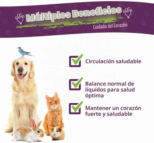 Vista 2 de Amber NaturalZ - Espino y diente de león - Cuidado del corazón - para Petz - 1 onza Maintains optimal cardiovascular wellness in pets. Supports