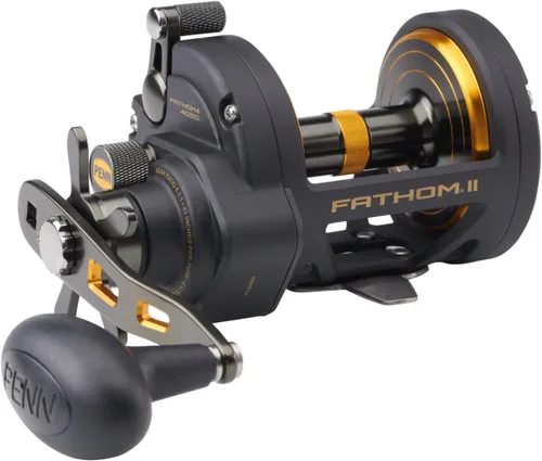 Vista 2 de Penn Fathom II Star Drag - Carrete de pesca convencional, oro negro, 25N
