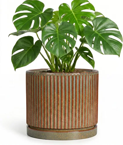 Vista 52 de 8 Inch Flower Pot, Ceramic Planters, Round Plant Pot, Beige