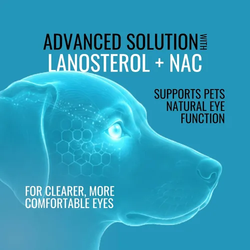 Vista 5 de NOVEHA Gotas para Mascotas Solución Avanzada de Lanosterol + NAC (2 x 10 mL)
