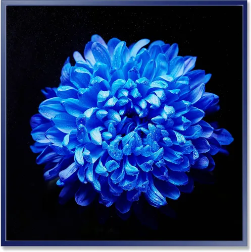 Vista 63 de DesignQ Lienzo enmarcado tradicional con flores silvestres azules con hojas verdes II
