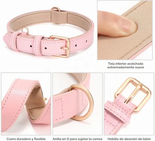 Vista 5 de WHIPPY Collar de cuero para perro pequeño, mediano y grande, ajustable, suave, transpirable, acolchado, de cuero con hebilla de aleación, resistente