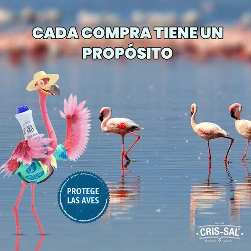 Vista 3 de Cris Sal Gourmet - Sal marina de cristal fino, 17.63 oz