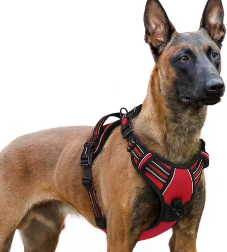 Vista 36 de Rabbitgoo - Arnés para perro de tamaño pequeño, arnés para mascotas sin tirones con 3 hebillas, chaleco acolchado suave ajustable con mango