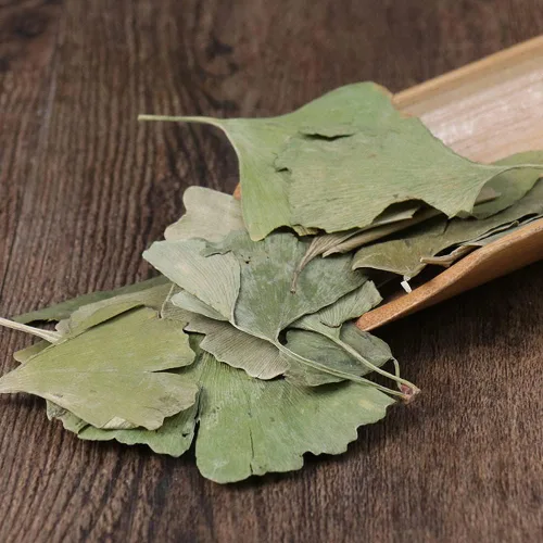 Vista 5 de Hojas secas de Ginkgo Biloba Ginkgo Biloba Hojas sueltas secas - Gingko Maidenhair Tree Yinxingye (8.82 oz)