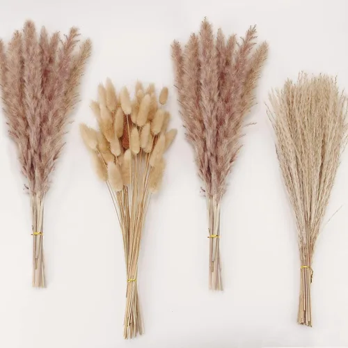 Vista 11 de 10 tallos de hierba de las pampas de 40 pulgadas de alto en color beige natural, añade un toque bohemio a tu espacio: hierba de las pampas ideal