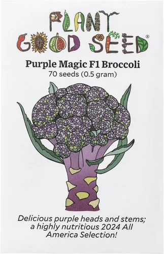 Vista 8 de Plant Good Seed Semillas de brócoli Marathon F1 para plantar: vegetales de alto rendimiento, cabezas verdes pesadas, paquete de 75 semillas