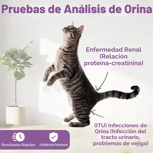 Vista 7 de One Step Tiras de prueba de orina para mascotas, tiras de prueba de análisis de orina de 5 x 10 parámetros, tiras de prueba de pH de orina