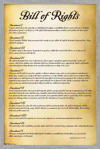 Vista 16 de Trends International The United States of America - Póster de pared de Carta de Derechos, 14.725 x 22.375 pulgadas, versión enmarcada de madera