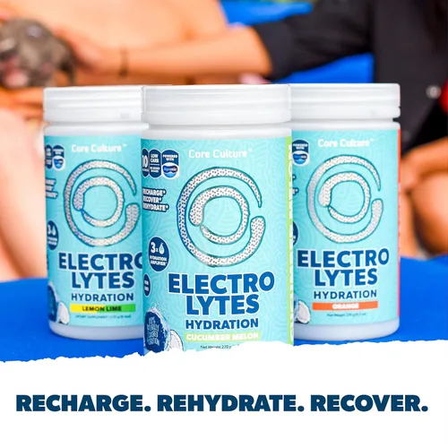 Vista 2 de Dragonfruit Electrolytes Powder - Mezcla refrescante de electrolitos de hidratación rápida para recuperar y recargar - Polvo de electrolitos