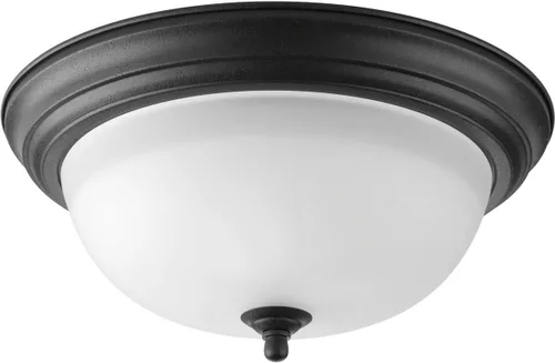 Vista 14 de Progress Lighting 2-Light Ceiling Light, Flush Mount Ceiling Light Fixture for Interior Kitchen Lights, Hallway, Bedroom, Living Room, 13-1/4