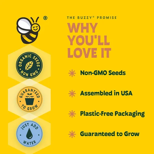 Vista 3 de BUZZY Semillas de terracota Mini macetas de cultivo Kit de iniciación de hierbas, plantas, flores para niños y adultos Mini cactus paquete de 6