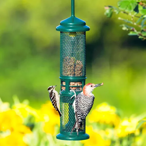 Vista 4 de Comedero para Nueces Squirrel Buster - Comedero para Pájaros a Prueba de Ardillas para Nueces y Frutas, Dos Mallas