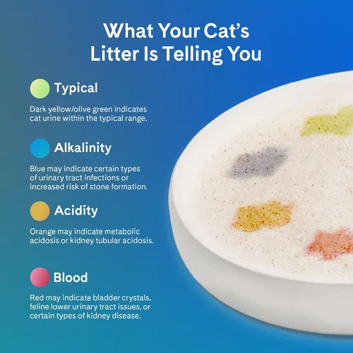 Vista 6 de PrettyLitter - Arena para gatos con monitoreo de la salud (aloe tranquilo, no aglutinante), ligera y de bajo seguimiento, cristales de gel de sílice