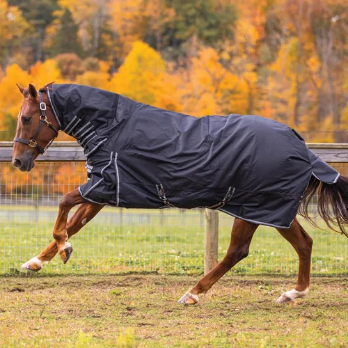 Vista 7 de Manta de participación clásica II para caballo Cubierta de cuello adjunta Cinturón cruzado Manta de invierno impermeable para caballo