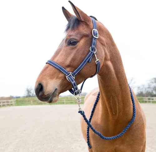 Vista 2 de Horze Cooper Halter con cuerda de plomo - Peacoat Azul Oscuro - Caballo
