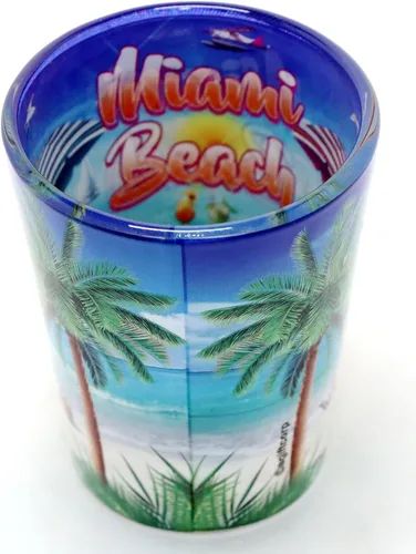 Vista 4 de Miami Beach Florida Sillas dentro y fuera Vaso de chupito