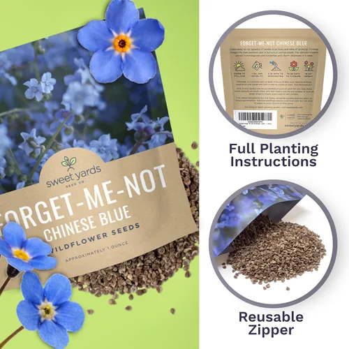 Vista 5 de Chinese Forget Me Not Wildflower Seeds - Paquete a granel de 1 onza - Más de 5,500 semillas polinizadas abiertas - Blue Cynoglossum amabile