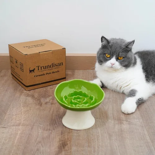 Vista 5 de Cuenco elevado de cerámica para alimentación lenta para gatos y perros pequeños, plato elevado inclinado para comida de mascotas, diseño anti-vómito