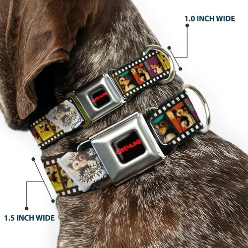 Vista 2 de Collar de perro hebilla de cinturón de seguridad Gremlins Gizmo Filmstrip Poses Multi Color 9 a 15 pulgadas 1.0 pulgadas Ancho
