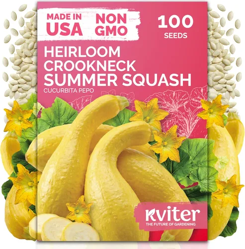 Vista 14 de KVITER 250 Marketmore - 76 semillas de pepino (Cucumis Sativus) – Rebanar semillas de pepino, sabor dulce, paquetes de semillas sin OMG – Semillas