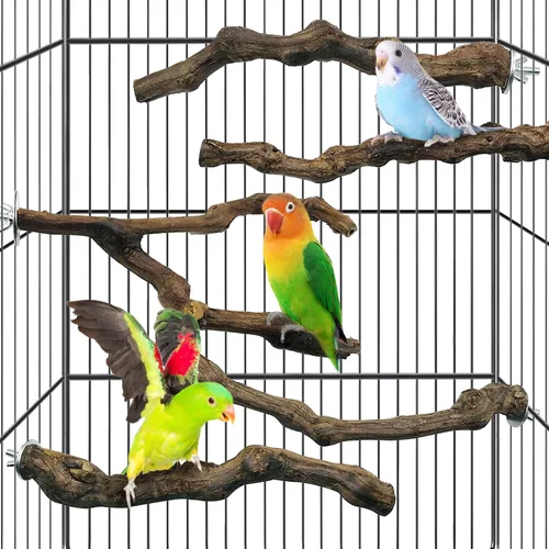 Vista 7 de kathson 3 piezas de perca natural de loro para jaula de madera para pájaros de uva, palito de pájaro de uva, periquitos, ramas de pie, juguete