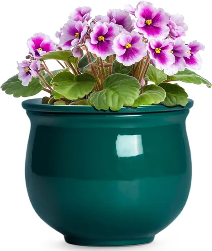 Vista 8 de Macetas de riego automático de 6 pulgadas para plantas de interior, macetas de cerámica violeta africana con maceta interior absorbente, maceta