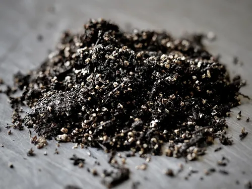 Vista 8 de MycoHaus Compost para cultivo de hongos Sustrato esterilizado para hongos Suelo orgánico de hongos Suministros de cultivo para el hogar 5