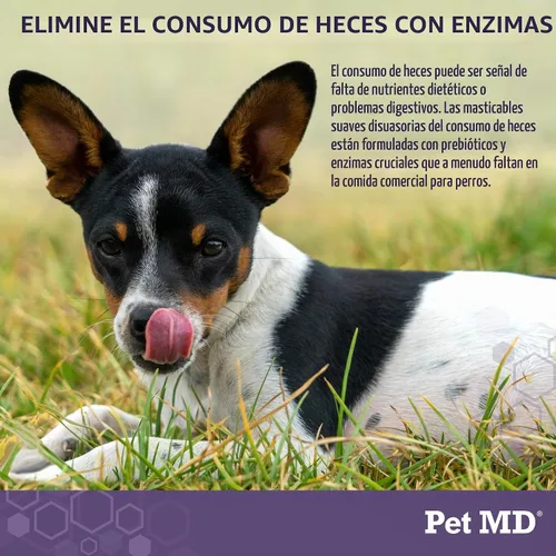 Vista 3 de Pet MD Taburete Disuasorio para Perros - Deja de comer caca para perros - 60