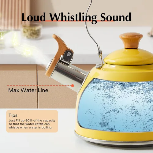 Vista 44 de ROCKURWOK - Tetera de estufa, tetera con mango ergonómico de tacto frío, tetera de acero inoxidable de grado alimenticio, tetera de estufa, tetera