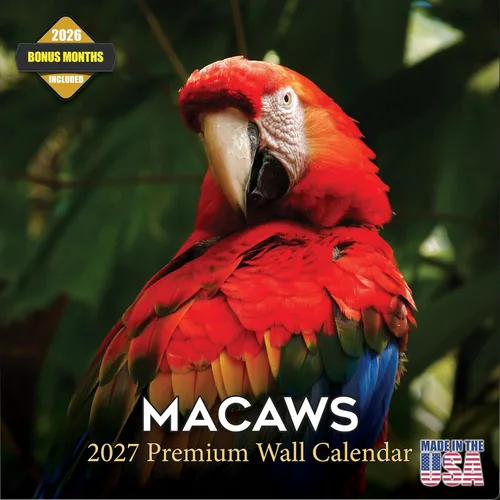 Vista 489 de Calendario de grises africanos 2025 2026 – Planificador mensual de pared de aves africanas – 12 x 18 pulgadas (abierto), calendario de pared