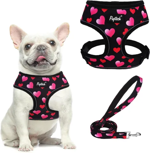 Vista 32 de PUPTECK Juego de arnés y correa de malla suave para perro, cachorro y gato, cómodo chaleco acolchado sin tirones, azul Pascua, S