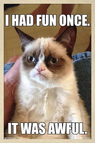 Vista 7 de Trends International Grumpy Cat - Póster de pared divertido, 22.375 x 34 pulgadas, versión enmarcada plateada Versión con marco plateado