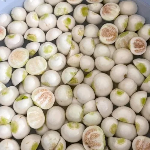 Vista 4 de 30 semillas de berenjena africana redonda blanca, Ca Phao Trang, semillas de berenjena blanca, adornos de plantación de jardín perenne, regalos