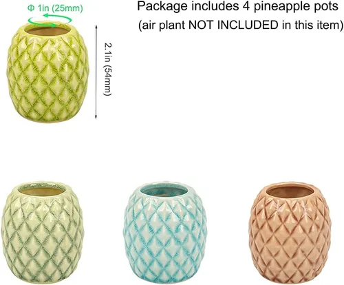 Vista 7 de Paquete de 4 soportes únicos para plantas de aire, lindo soporte de pared para plantas de aire de piña, soportes de cerámica Tillandsia para plantas