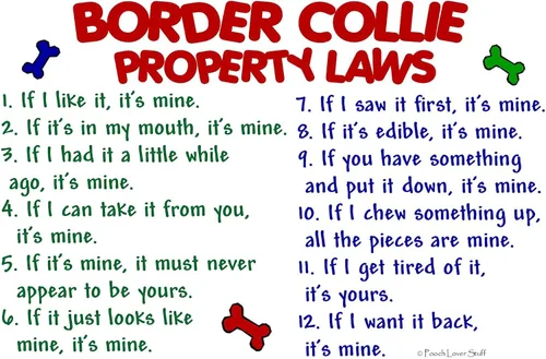 Vista 2 de CafePress Border Collie Property Laws 2 - Pegatina ovalada para parachoques de coche